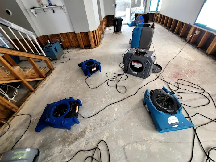 Wet To Dry Mitigation Services Inc Picture 3