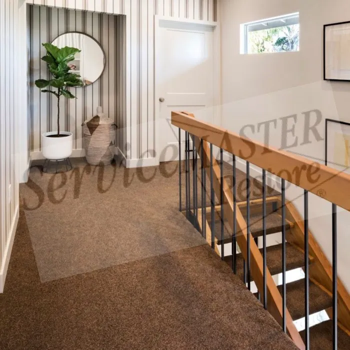 Servicemaster Restore By WFDR Picture 6