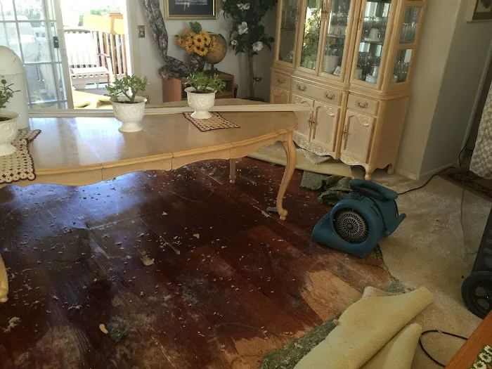 Abatement Plus / Dry Out Service CA Lic # 1015443 Picture 3