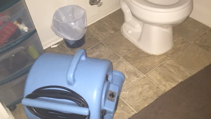 Abatement Plus / Dry Out Service CA Lic # 1015443 Picture 1