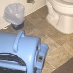 Abatement Plus / Dry Out Service CA Lic # 1015443