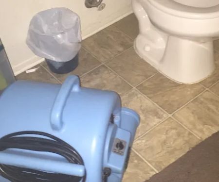 Abatement Plus / Dry Out Service CA Lic # 1015443