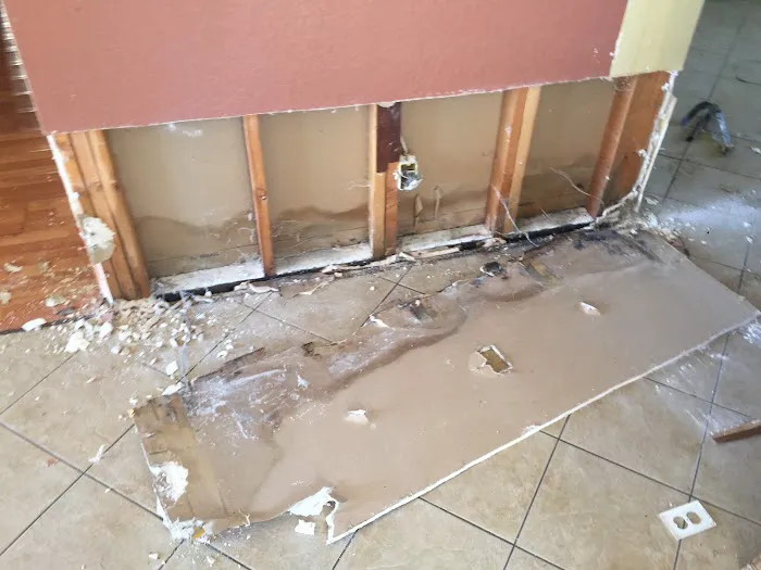 Abatement Plus / Dry Out Service CA Lic # 1015443 Picture 4