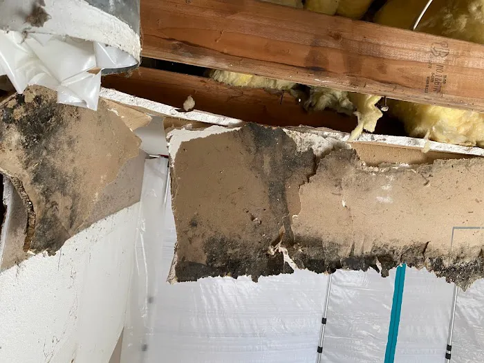 ProCare Services, Inc. Picture 3