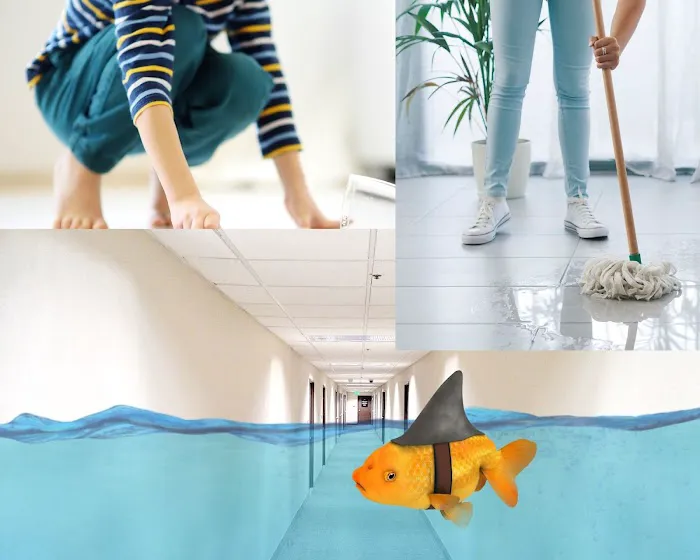 H2O Mold Restoration Gurus of Rancho Santa Margarita Picture 4