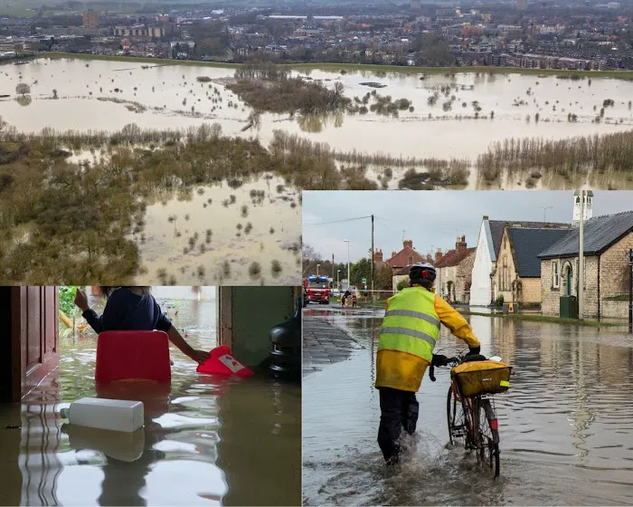 H2O Mold Restoration Gurus of Rancho Santa Margarita Picture 8