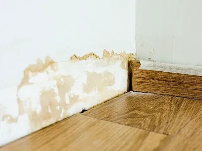 Mission Top Restoration Picture 2