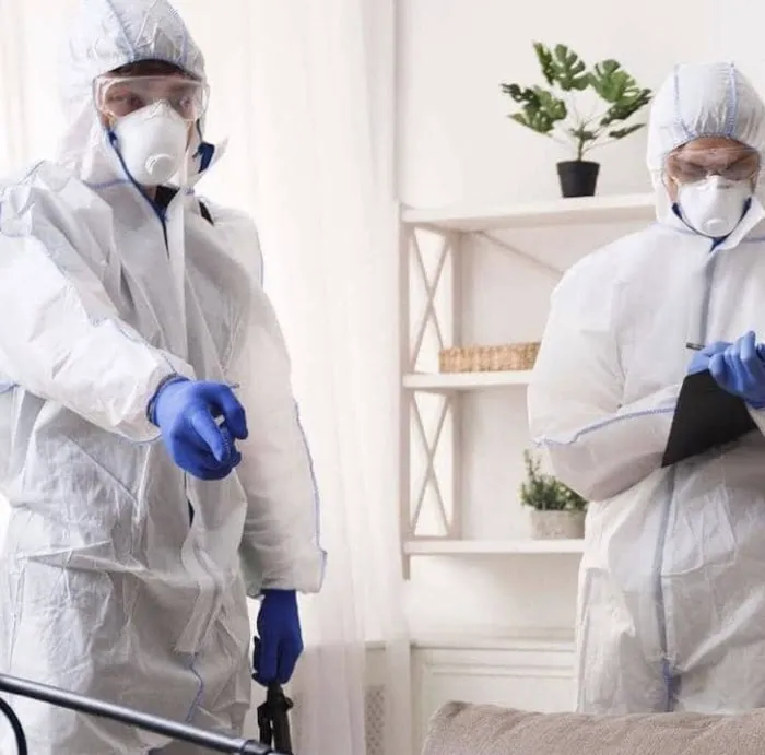 PR Restoration of Santa Clarita Picture 3