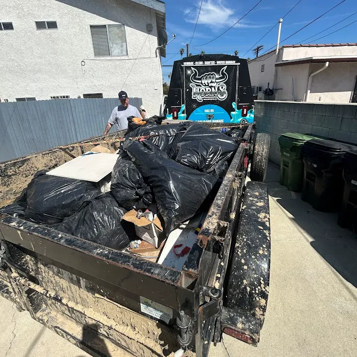 Horn's Water Restoration Picture 5