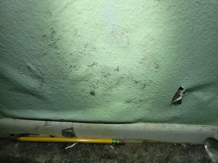 Horn's Water Restoration Picture 4