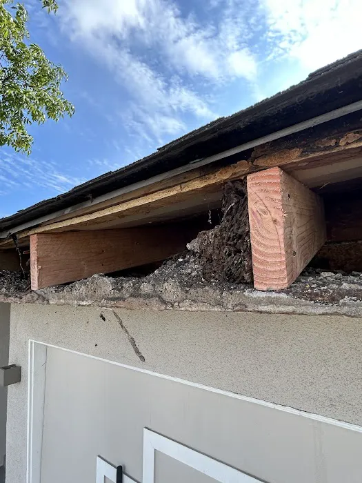 Horn's Water Restoration Picture 9