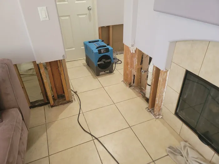 Horn's Water Restoration Picture 10