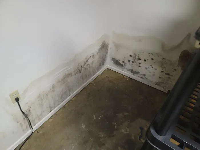 Horn's Water Restoration Picture 7