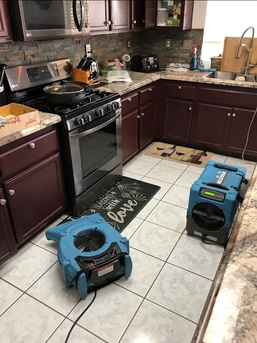 Water Fire Rescue Pros Picture 8