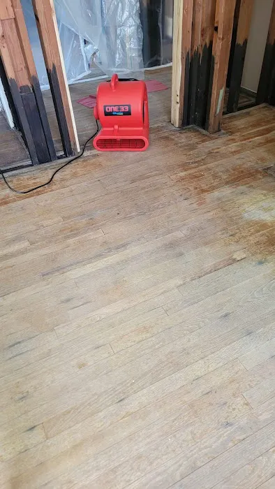 Dry Masters Picture 3