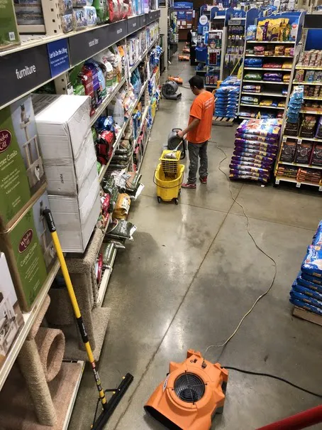 911 Restoration of Santa Clarita Picture 3