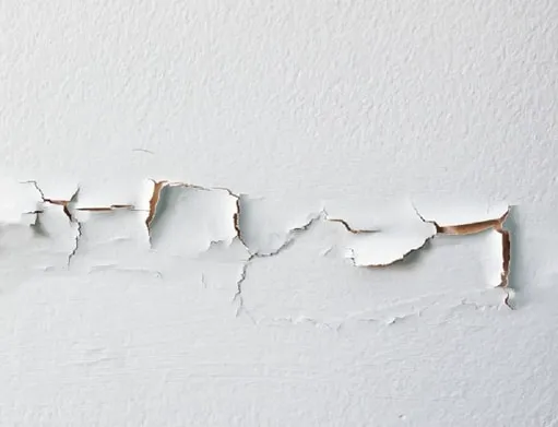 Dry County Restoration, LLC Picture 7