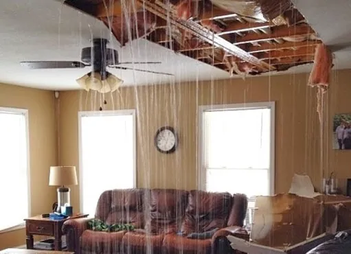 Dry County Restoration, LLC Picture 5