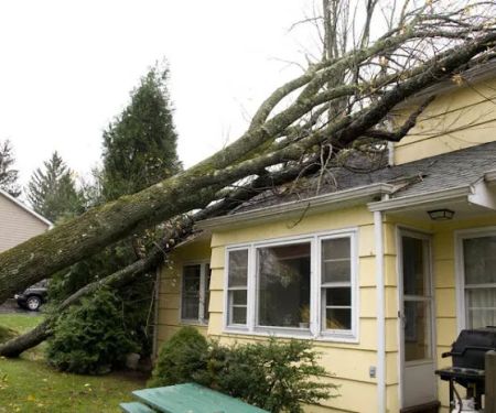 California Premier Restoration