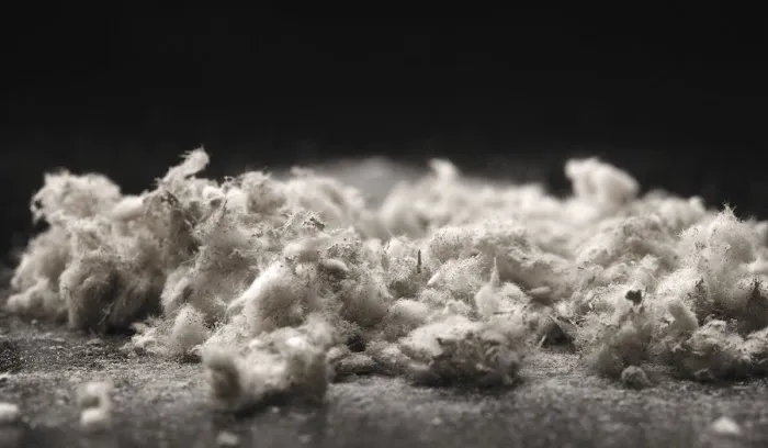 California Premier Restoration Picture 9