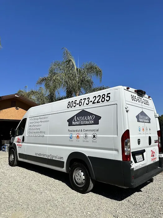 Andiamo Property Restoration Picture 6