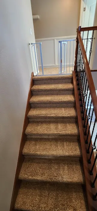 PLUS 1 CARPET CARE CLEANING & RESTORATION SERVICES Picture 6