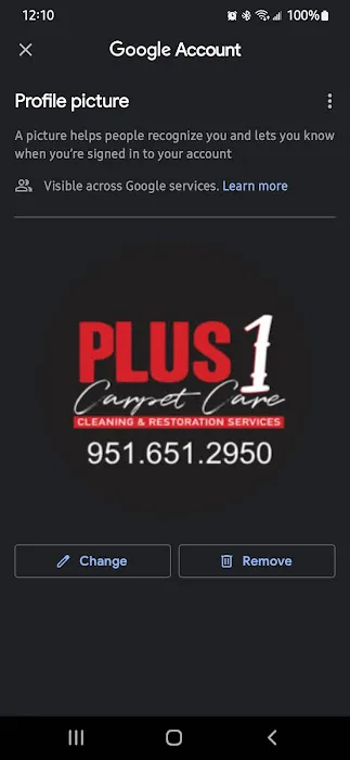 PLUS 1 CARPET CARE CLEANING & RESTORATION SERVICES Picture 1