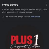 PLUS 1 CARPET CARE CLEANING & RESTORATION SERVICES ico