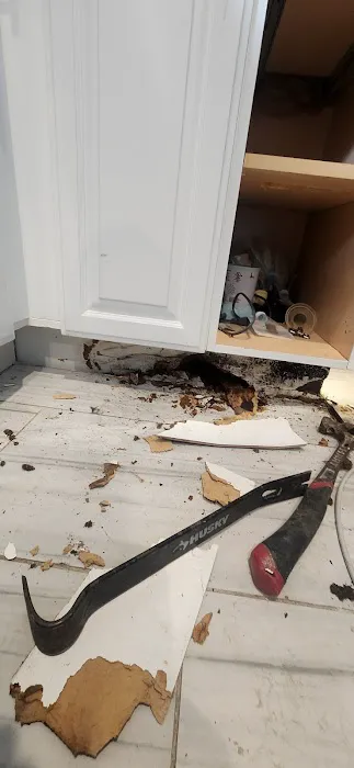 PLUS 1 CARPET CARE CLEANING & RESTORATION SERVICES Picture 10