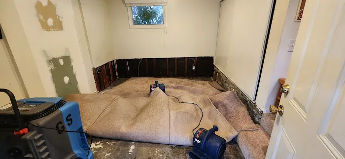 PLUS 1 CARPET CARE CLEANING & RESTORATION SERVICES Picture 8