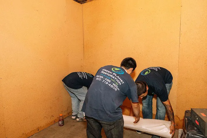 Green Planet Restoration San Bernardino Picture 8