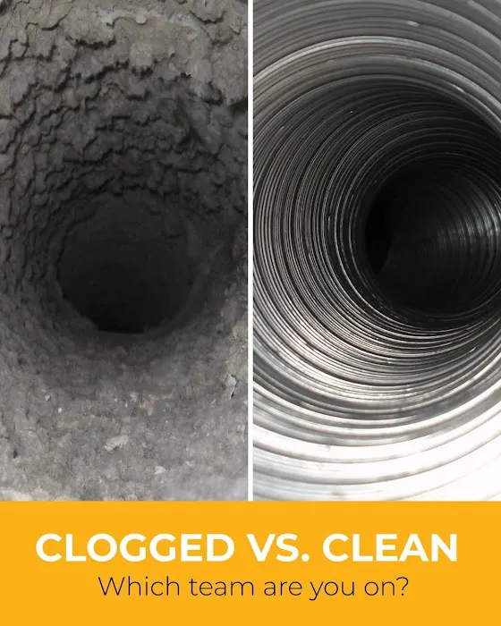 Stanley Steemer Picture 3