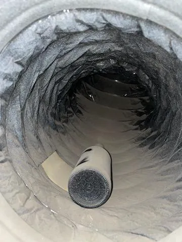 Stanley Steemer Picture 5