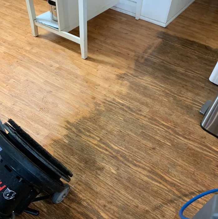 Stanley Steemer Picture 10