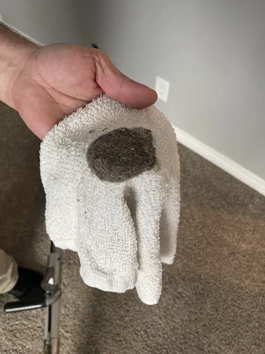 Stanley Steemer Picture 9