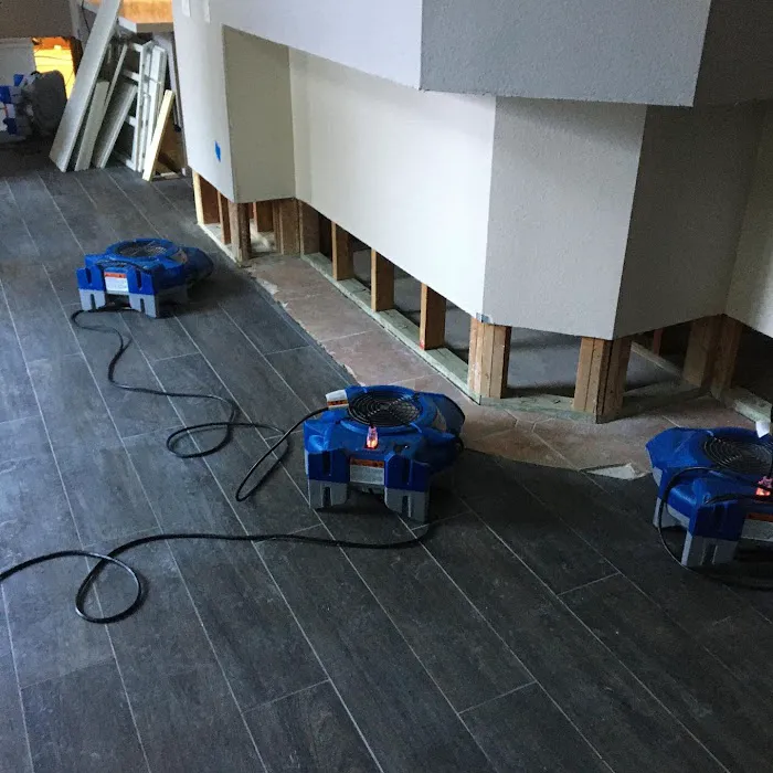 Blue Dolphin Restoration Corp Picture 4