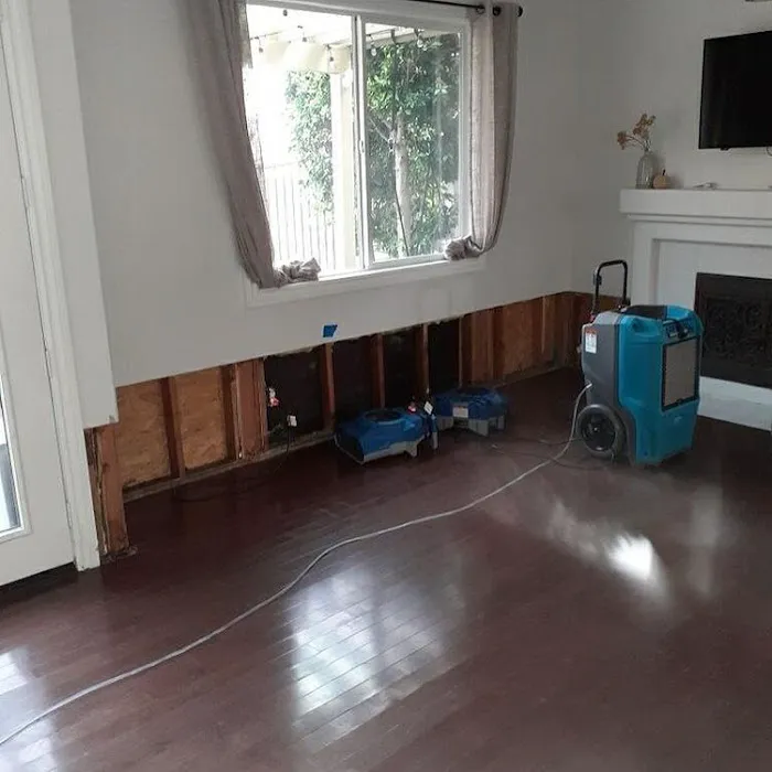 Blue Dolphin Restoration Corp Picture 8