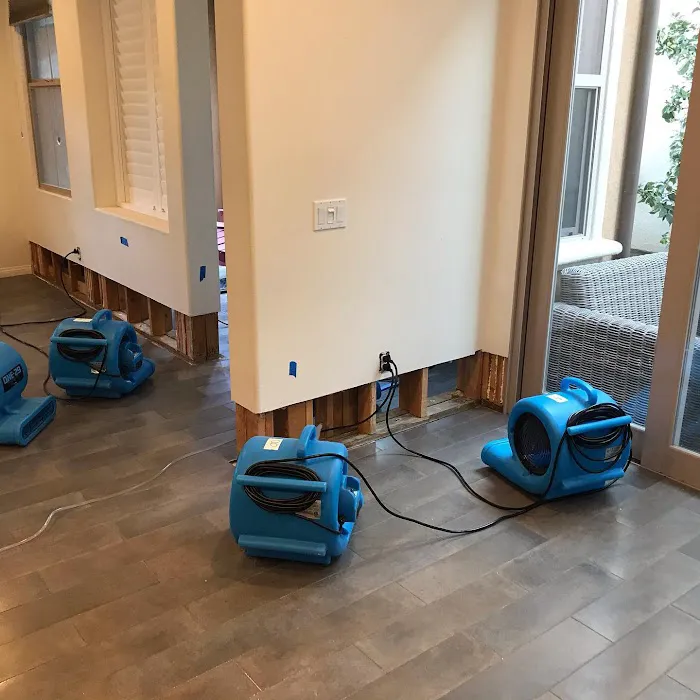 Blue Dolphin Restoration Corp Picture 3