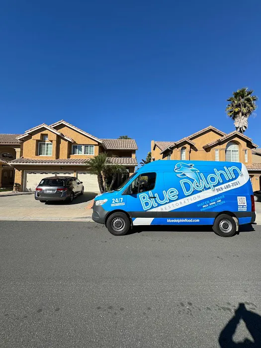 Blue Dolphin Restoration Corp Picture 1