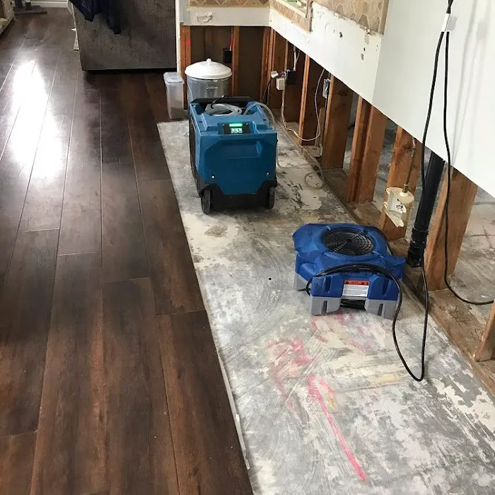 Blue Dolphin Restoration Corp Picture 9