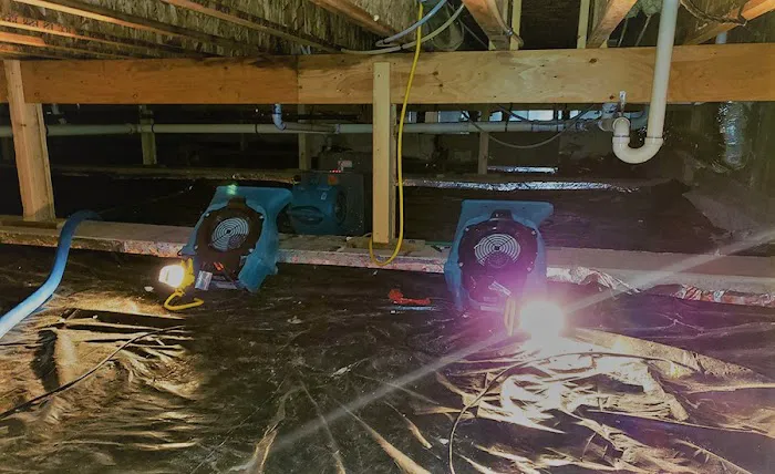 Boehm Remediation Picture 2