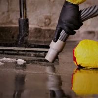 Boehm Remediation ico