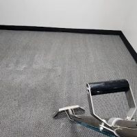 PLUS 1 Restoration & Carpet Care ico