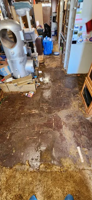 PLUS 1 Restoration & Carpet Care Picture 7