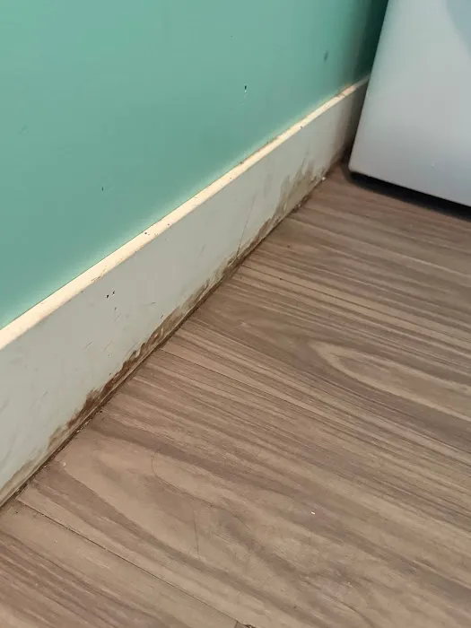 Pure Maintenance of Southern California, LLC Picture 3