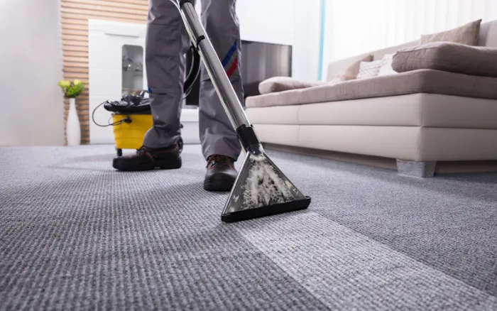 Ready Restoration Picture 1