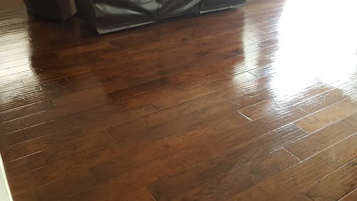 Stanley Steemer Picture 3