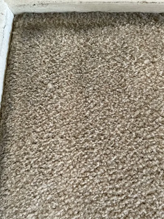 Stanley Steemer Picture 7