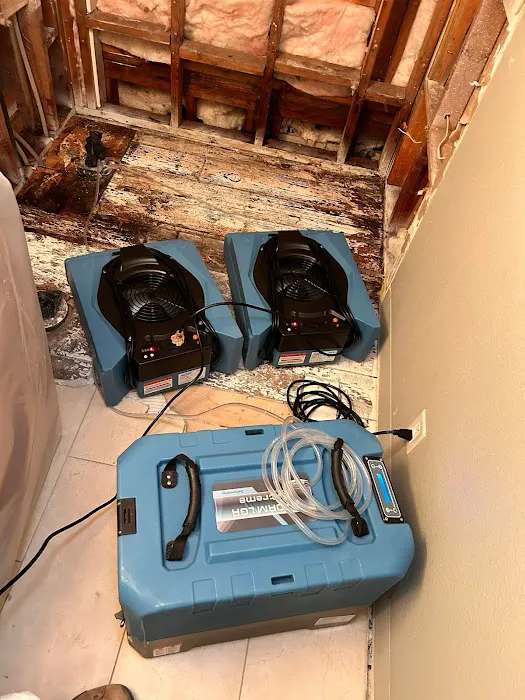 ECK Restoration Picture 4