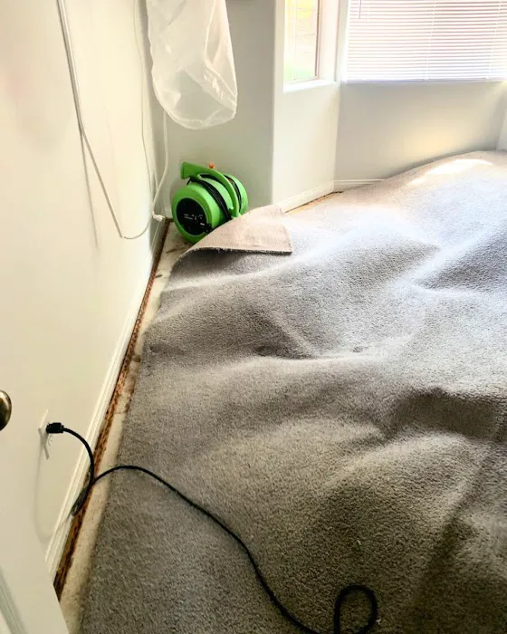 SERVPRO of Ventura Picture 5